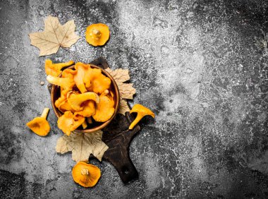 Bir kase taze Cantharellus cibarius mantar.