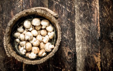 Ahşap bir demet taze mantar.