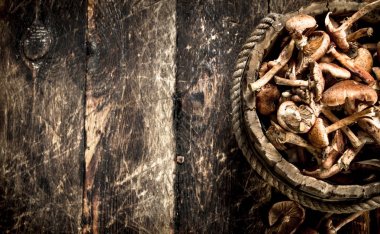 Ahşap bir demet taze bal agarics.