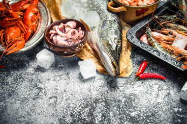 Farklı taze deniz ürünleri.