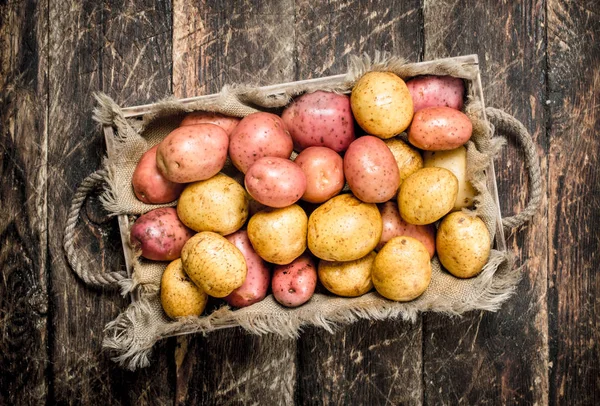 Frische Kartoffeln auf einem Holztablett. — Stockfoto