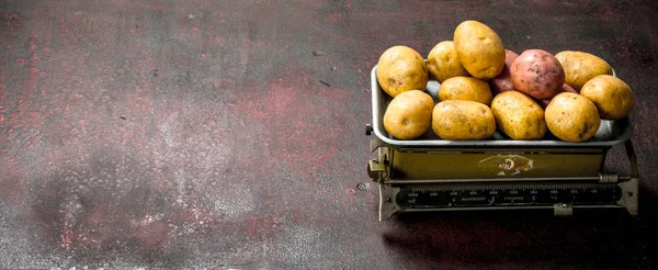 Frische Kartoffeln auf der Waage. — Stockfoto