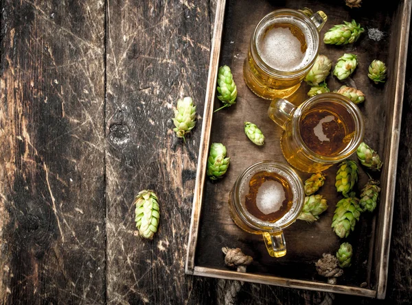 Свежее пиво в стаканах с зеленым хмелем на старом подносе . — стоковое фото