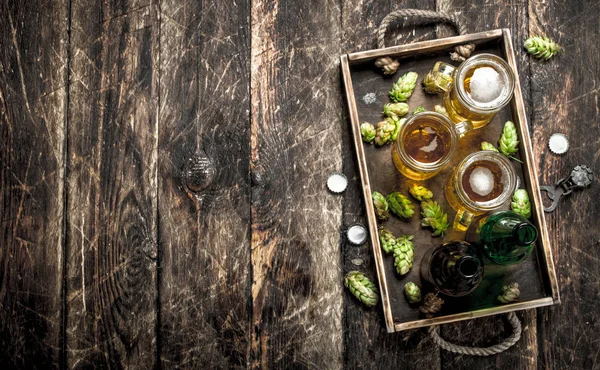 Cerveja fresca em copos com lúpulo verde em uma bandeja velha . — Fotografia de Stock