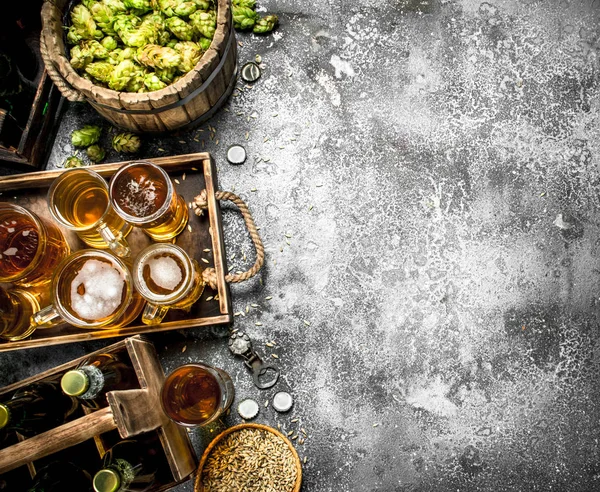 Bier-Hintergrund. Frisches Bier mit Zutaten. — Stockfoto