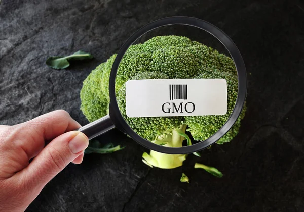 Ετικέτα τροφίμων ΓΤΟ — Φωτογραφία Αρχείου