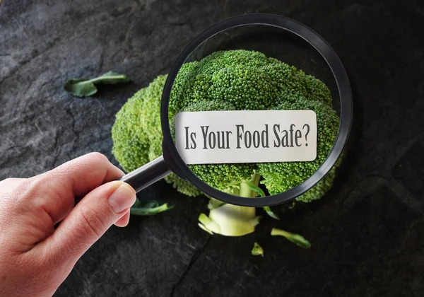 Magnified food safety — Stock Photo, Image