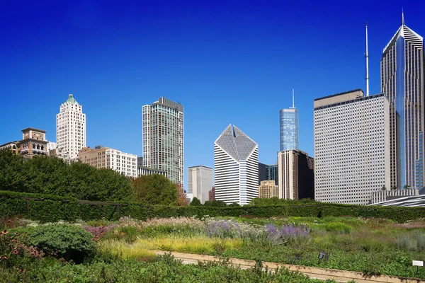 Парк в центре Чикаго — стоковое фото
