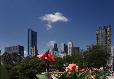 Chicago skyline flowers clipart