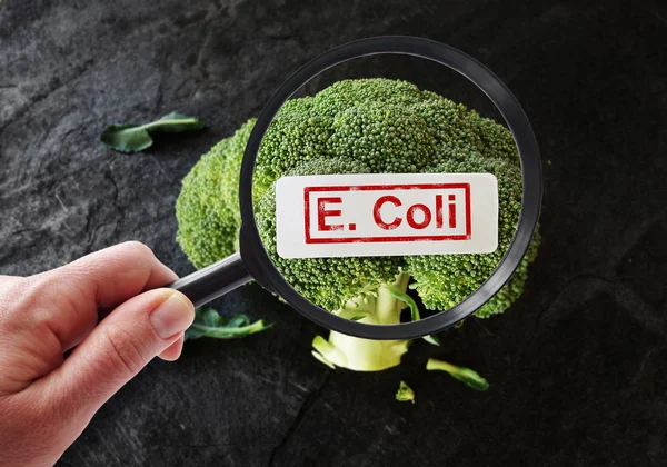 E Coli contamination — Stock Photo, Image