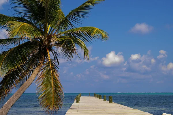 Ámbra Caye Belize — Stock Fotó