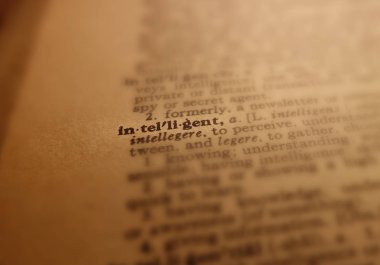 Akıllı sözlük tanımı