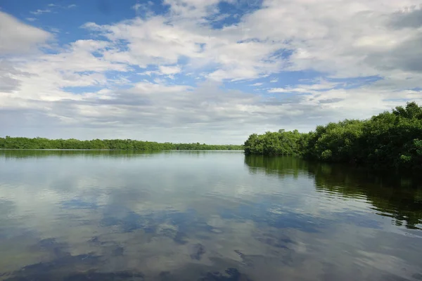 Ruhiges Wasser Spiegelt Den Blauen Himmel Auf Sanibel Island Florida — Stockfoto