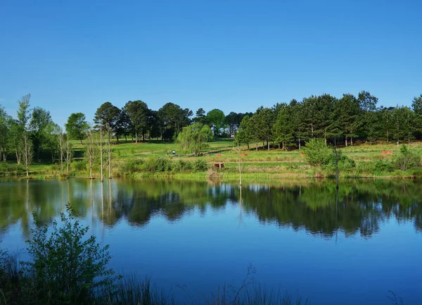 Das Außengelände Des North Carolina Museum Art Raleigh Das Wege — Stockfoto