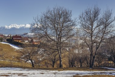 Pastoral kış Romen kırsal manzara