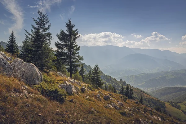 Herfst alpine wildernis — Stockfoto