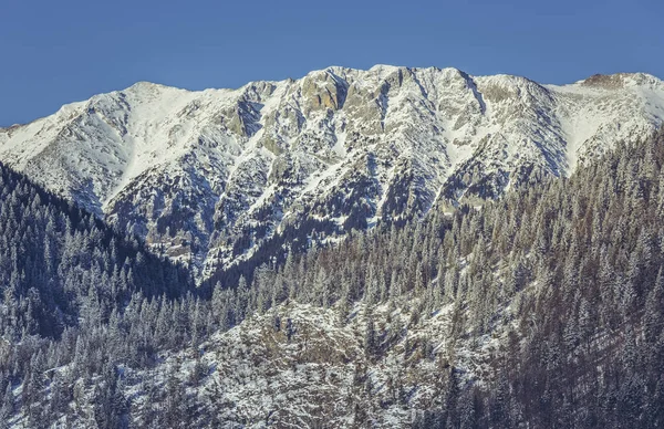 Snowy Piatra Craiului National Park