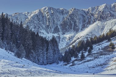 Piatra Craiului Milli Parkı, Romanya