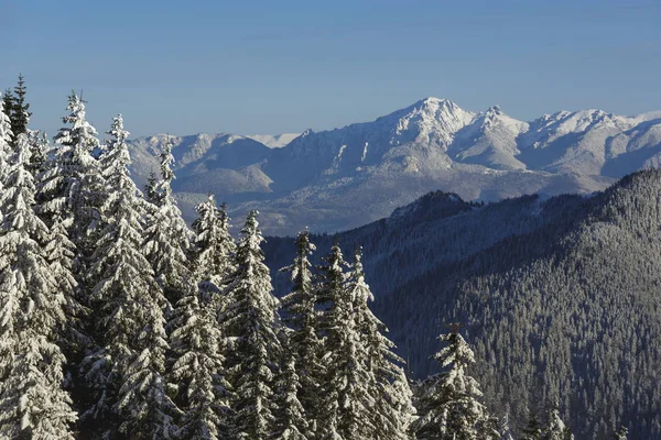 Snowy Ciucas mountains, Romania — 图库照片