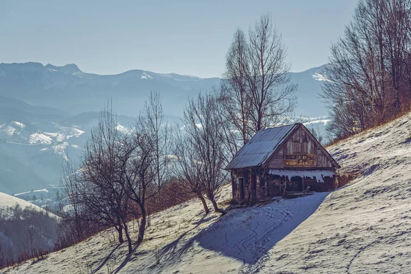 Terk edilmiş ahşap kulübe — Stok fotoğraf