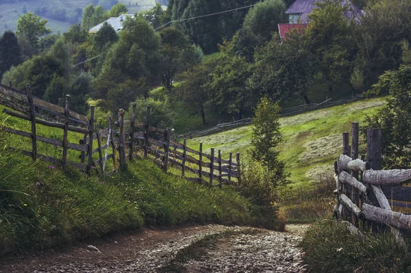 Transylvanie route de campagne — Photo