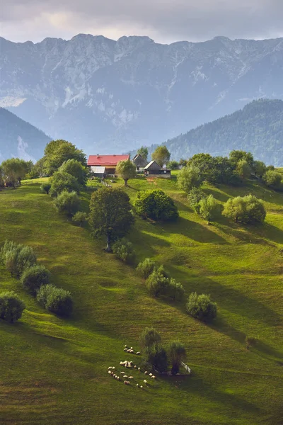 Landsbygdens bergslandskap, Transsylvanien, Rumänien — Stockfoto