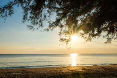 Günbatımı ağaçlar sway Chaolao Tosang Beach Tayland at ile denizde.