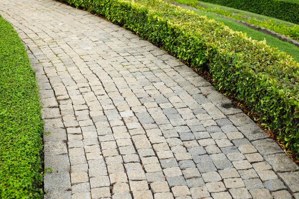 The old vintage rough brick walkway (footpath, sidewalk) and shr