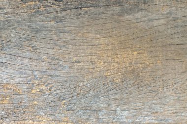 İçeriğiniz için & eski ahşap arkaplan ya da doku alanı.