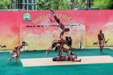 Bangkok, Tayland - 8 Mayıs 2018 Dusit Hayvanat Bahçesinde Akrobatik Kenya Şovu.