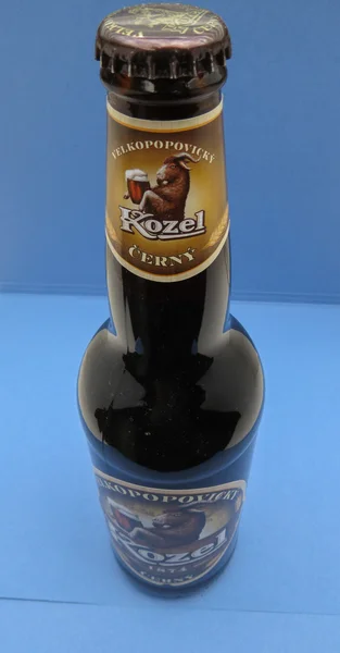 Kozel cerveza oscura — Foto de Stock