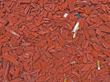 kabuk malç doku arka plan olarak yararlı