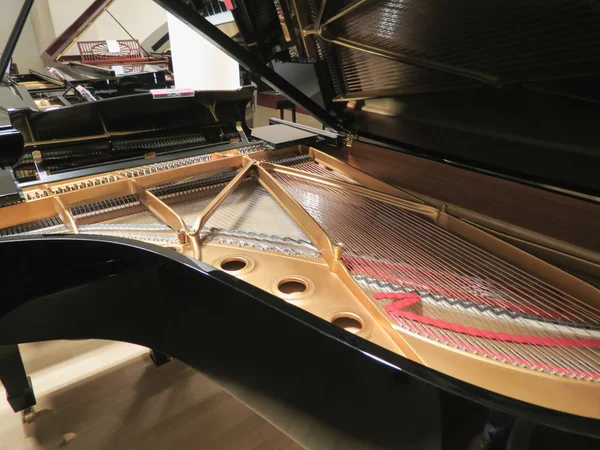 Mecanismo Interior Piano Cola Con Una Placa Sonido Abierta — Foto de Stock