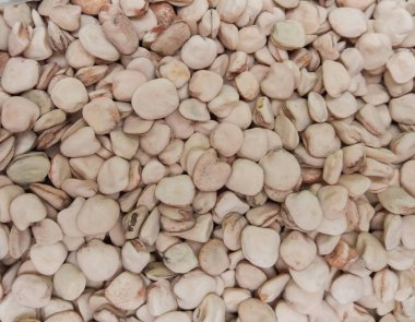 Tohum arka plan olarak yararlı çim bezelye (Lathyrus sativus) kurutulmuş