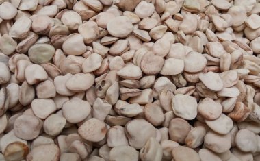 Tohum arka plan olarak yararlı çim bezelye (Lathyrus sativus) kurutulmuş