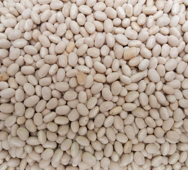 Common Beans Phaseolus Vulgaris Legumes Vegetarian Food — Stock Photo, Image