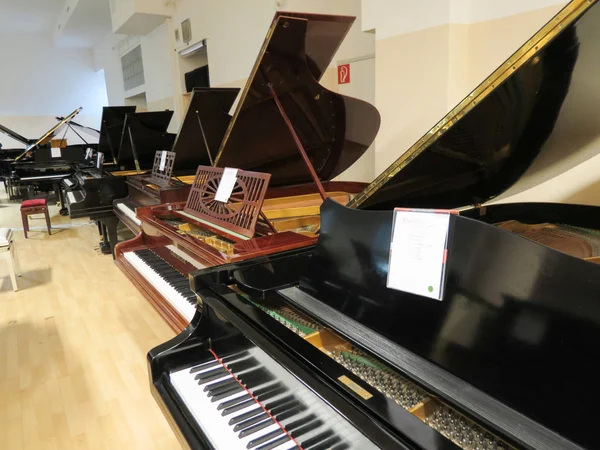 Klasszikus Zongora Eszközök Különböző Szempontjából — Stock Fotó