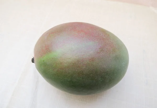 Mangifera Indica — 스톡 사진