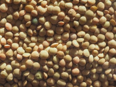 Mercimek baklagiller sebze vejetaryen yemek arka plan olarak yararlı darbe