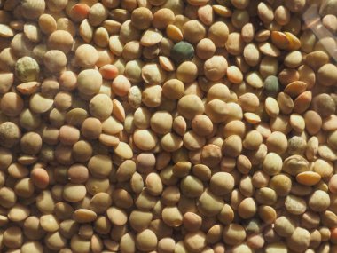 Mercimek baklagiller sebze vejetaryen yemek arka plan olarak yararlı darbe