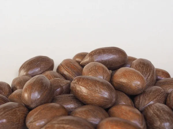 Pecan nuts uncracked — Stock Photo, Image