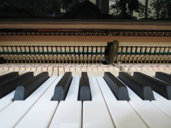 Détail Clavier Piano — Photo