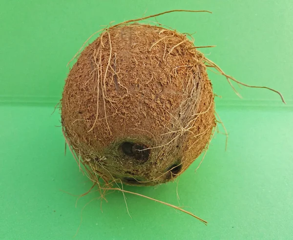 Καρυδιών Κοκοφοίνικα Cocos Nucifera Πάνω Από Ανοιχτό Πράσινο Φόντο — Φωτογραφία Αρχείου