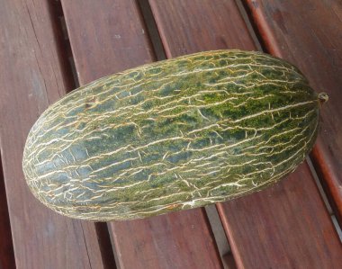 Noel Baba kavun aka Piels de sapo (Cucumis melo inodorus)