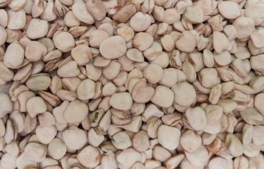 Tohum arka plan olarak yararlı çim bezelye (Lathyrus sativus) kurutulmuş