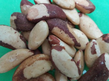 Brezilya fıstığı (Bertholletia excelsa) vegan gıda portre