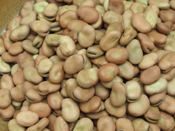 Broad Beans Vicia Faba Legumes Close Fundo — Fotografia de Stock