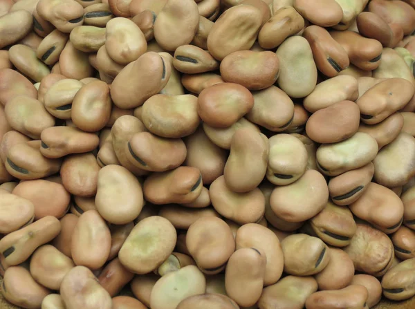 Broad Beans Vicia Faba Legumes Close Fundo — Fotografia de Stock