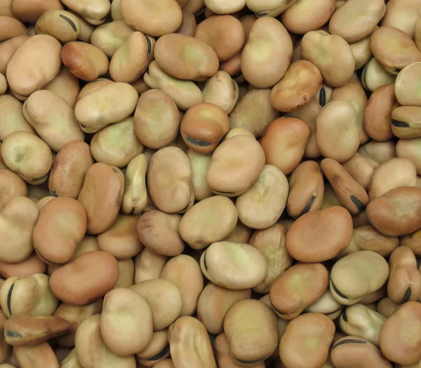 Frijoles Anchos Vicia Faba Legumbres Primer Plano Fondo — Foto de Stock