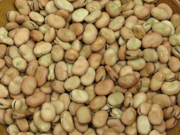 Frijoles Anchos Vicia Faba Legumbres Primer Plano Fondo — Foto de Stock